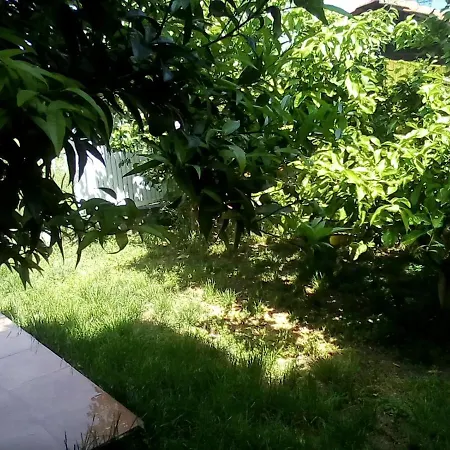 Sounds Of The Waves Διαμέρισμα